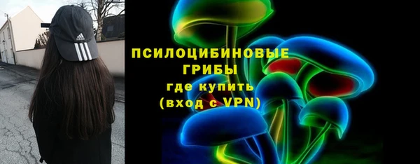 индика Армянск
