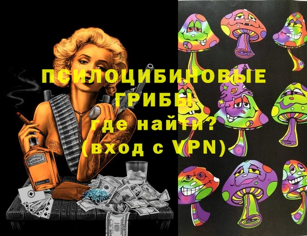 ешки Арсеньев