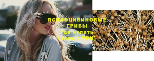индика Армянск